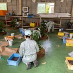 室内園芸装飾技能検定　３級　実技試験が行われました