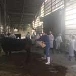 農業クラブ家畜審査競技会・上級位技術検定（畜産の開催開催