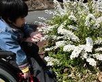 2014小_4月春を探そう01