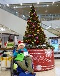 クリスマスツリーと生徒