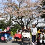 桜の木の下の児童