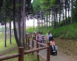 ゆっくり散歩