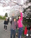 桜に手を伸ばす生徒
