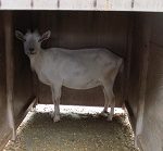 南部丘陵公園