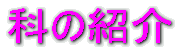 �Ȃ̏Љ�