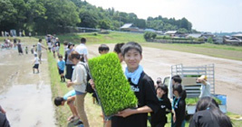 田んぼアートに参加の様子