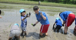 巽ヶ丘幼稚園、盲学校生徒とともに田植えの様子