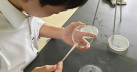 大腸菌群の検査の様子