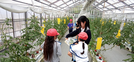 園芸科学科