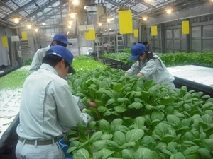 生産技術コースの様子1