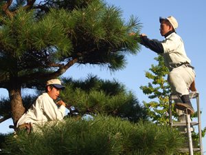 造園技術コースの様子1