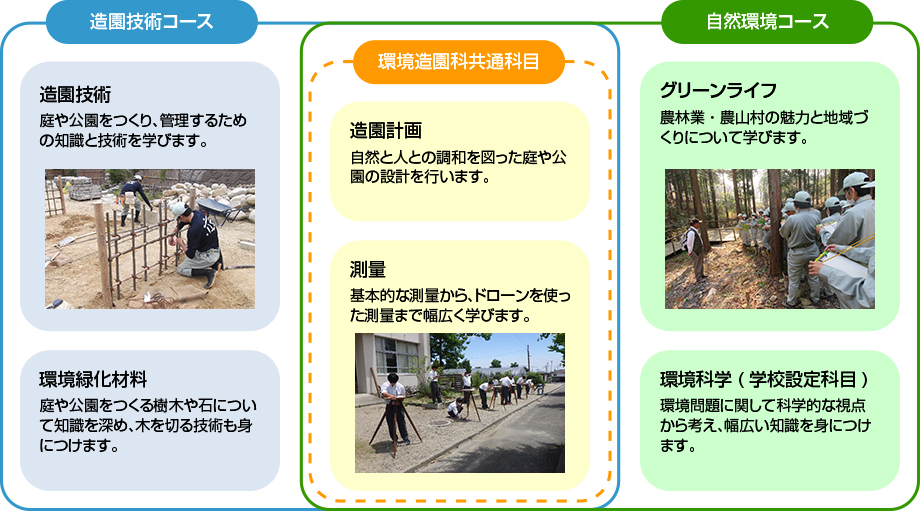 2年生・3年生での学び