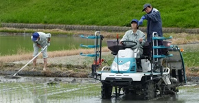 生産系