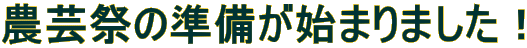 _|Ղ̏n܂܂I 