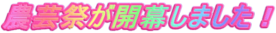 _|ՂJ܂I 
