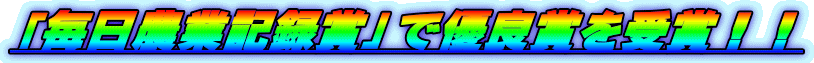 u_ƋL^܁vŗDǏ܂܁II 