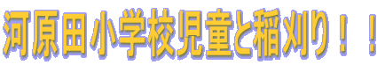 ͌cwZƈII