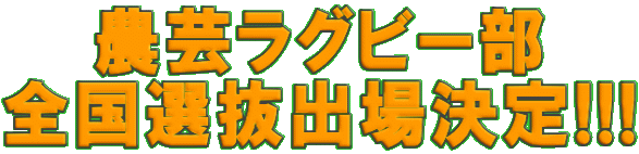 _|Or[ SIoꌈ!!! 