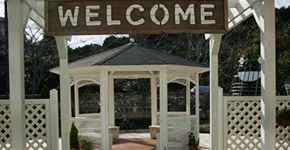 学校公園化