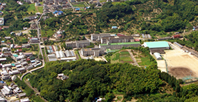 PTA活動