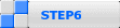 STEP6