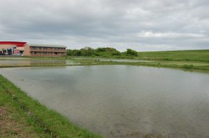 農業科学科２年生の田植え実習