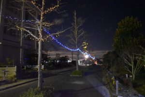 イルミネーション点灯式を開催しました！