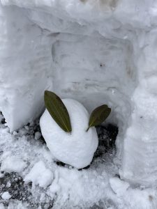 【農芸高校雪景色】その２