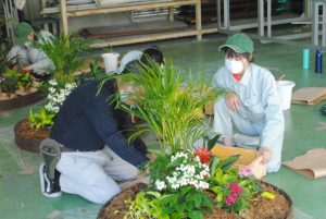 室内園芸装飾技能士　技能講習会を開催しました