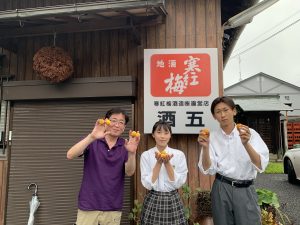寒紅梅酒造にて梅酒の仕込みを行いました