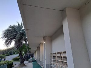 農芸祭に向けてお掃除しました☆
