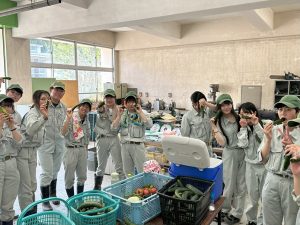 収穫盛期！