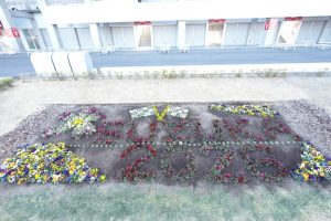 鈴鹿サーキット花壇づくり