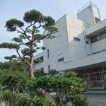 校舎_事務室前_植え込み