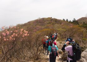 山岳スキー部