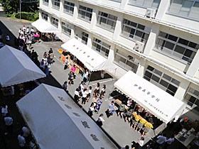 黄桜祭2019