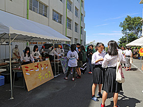 黄桜祭2019