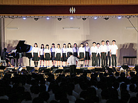 黄桜祭2019
