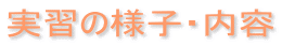 実習の様子・内容