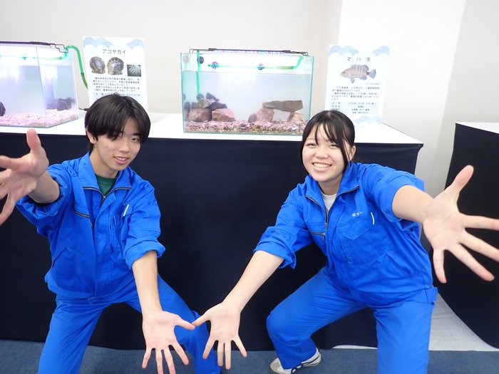 出張ミニ水族館