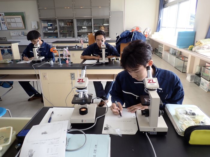 生物調査・研究