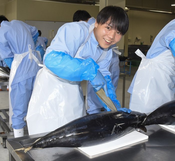 カツオ解体実習