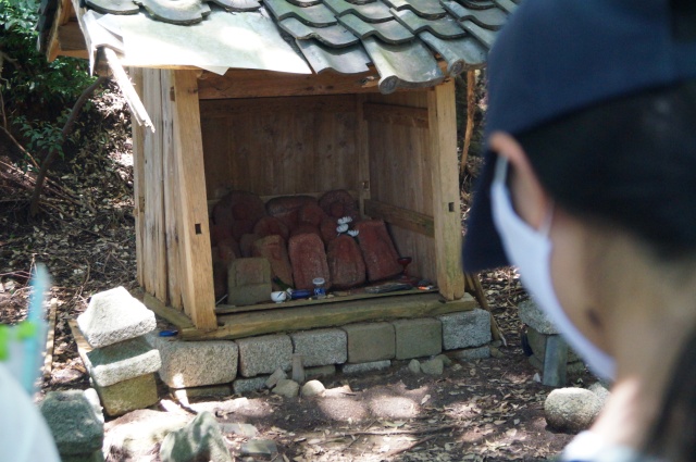 展示した本