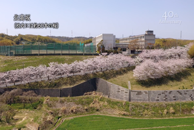 三重県立桑名高等学校