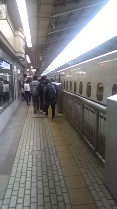 P1000835.jpg 480×854 136K