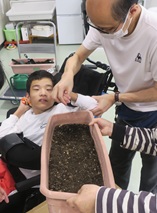 ひまわりの花が咲きました。